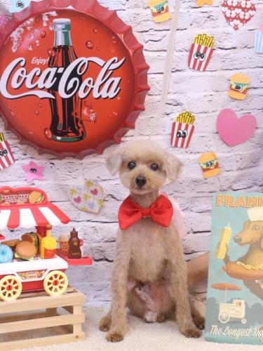 20230929マークくん